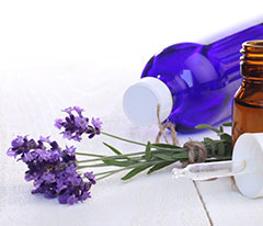 Développement durable Développement durable